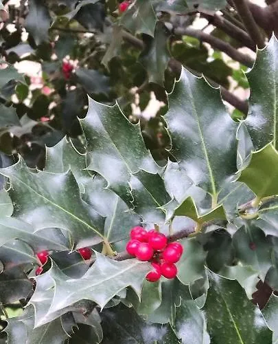 Appartamento Soportales Soria